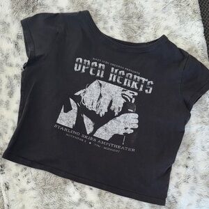 Hollister Graphic Crop Top